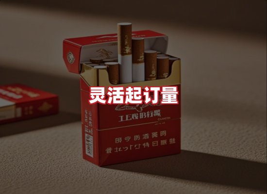 专业团队